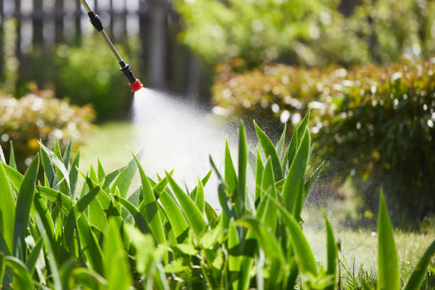 24/7 Emergency Fumigation Services experts in Mobridge, SD